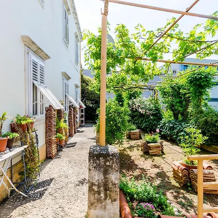 Apartment Ivana -two Bedroom With Garden