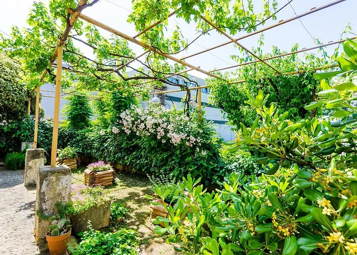 Ivana -two Bedroom With Garden *