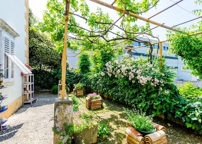 Ivana -two Bedroom With Garden Apartman *